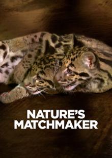 Nature's Matchmaker