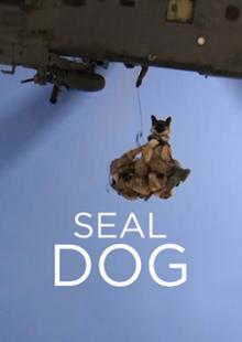 Seal Dog